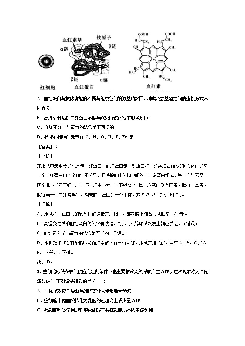 2022届山东省潍坊第四中学高三上学期收心考试生物试卷解析版第2页