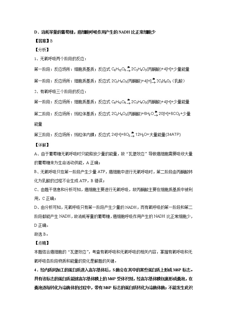 2022届山东省潍坊第四中学高三上学期收心考试生物试卷解析版第3页