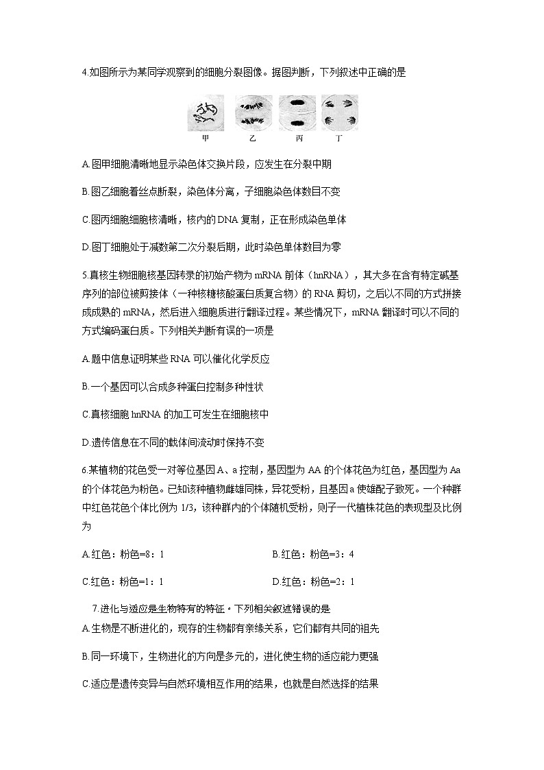 2021届河北省正定中学高三下学期开学考试生物试题含答案第2页
