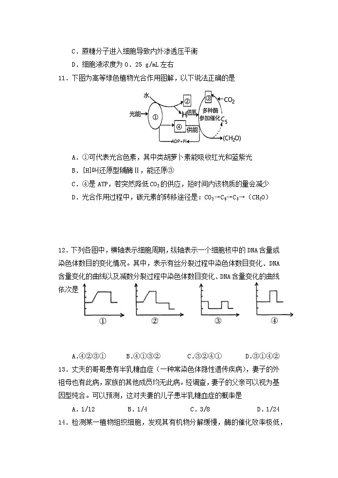 2022届重庆市第八中学高三上学期周考生物试题（9.12）含解析03