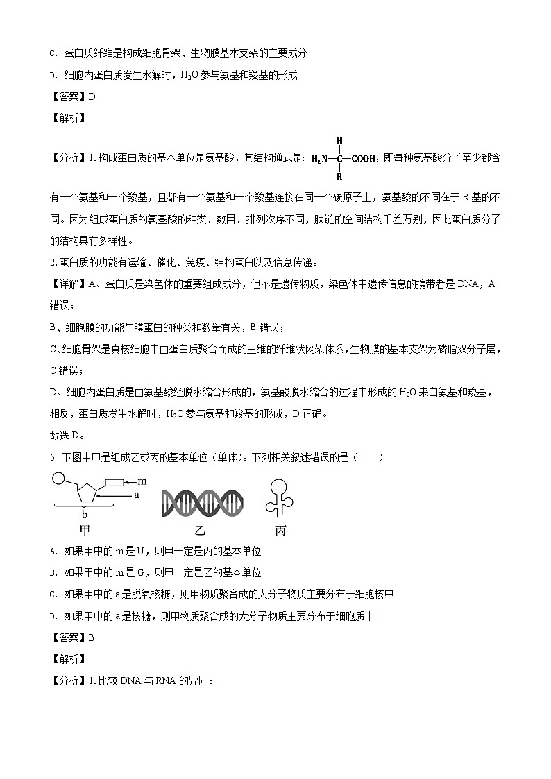 2022届河南省高三上学期阶段性大联考生物试题含解析03