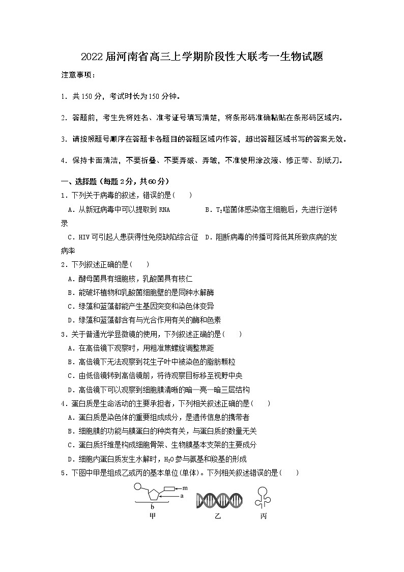 2022届河南省高三上学期阶段性大联考一生物试题含答案第1页