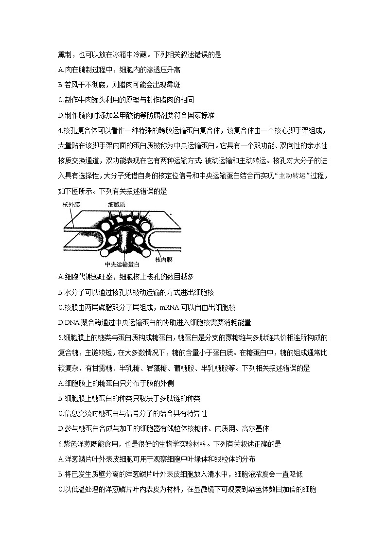 2022届河南省天一大联考高三上学期期中考试生物试卷含答案第2页