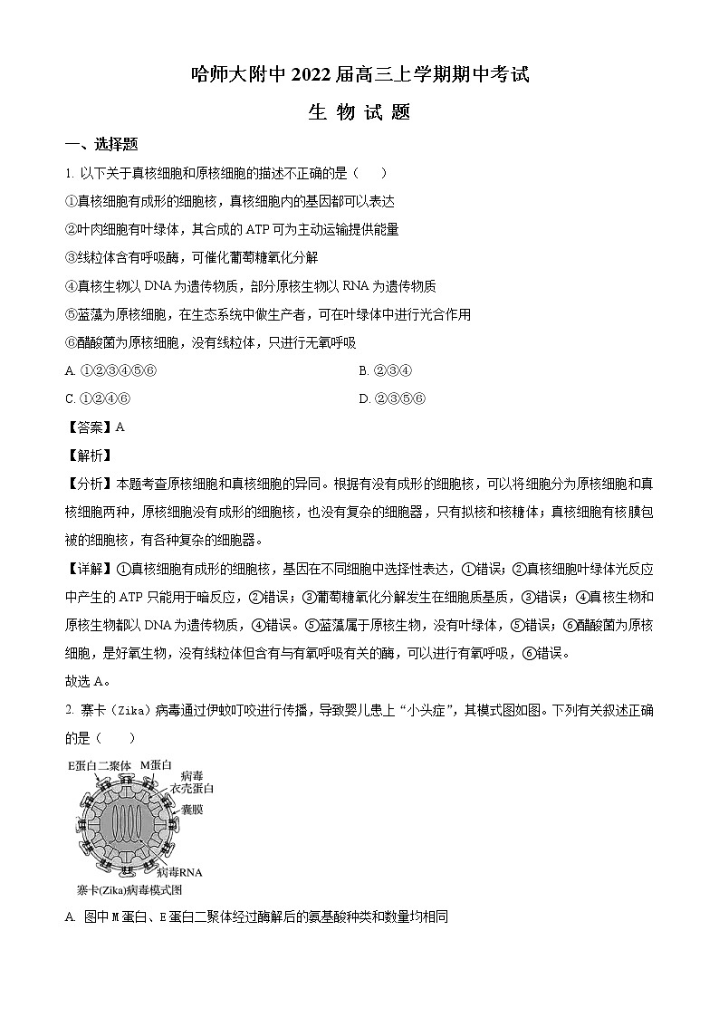 2022届黑龙江省哈尔滨师大属中高三上学期期中生物试题含解析01