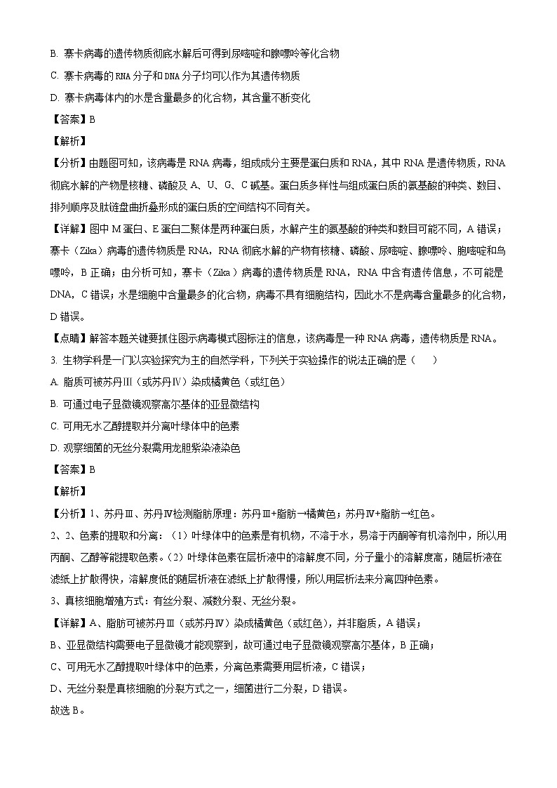 2022届黑龙江省哈尔滨师大属中高三上学期期中生物试题含解析02