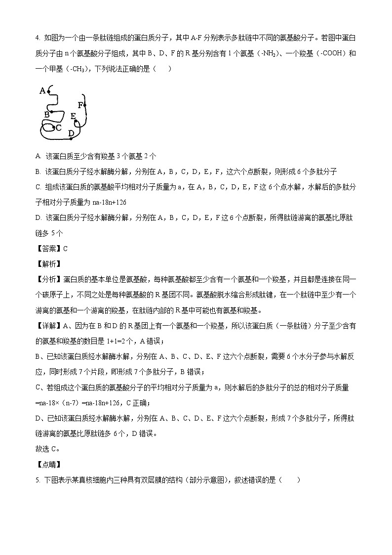 2022届黑龙江省哈尔滨师大属中高三上学期期中生物试题含解析03