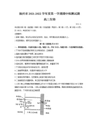 2022届江苏省扬州市高三上学期期中考试生物试题含答案