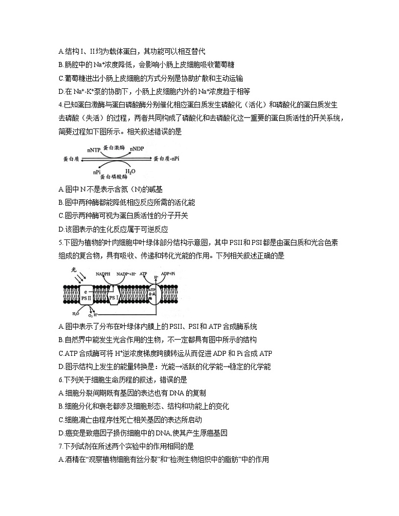 2022届江苏省扬州市高三上学期期中考试生物试题含答案02