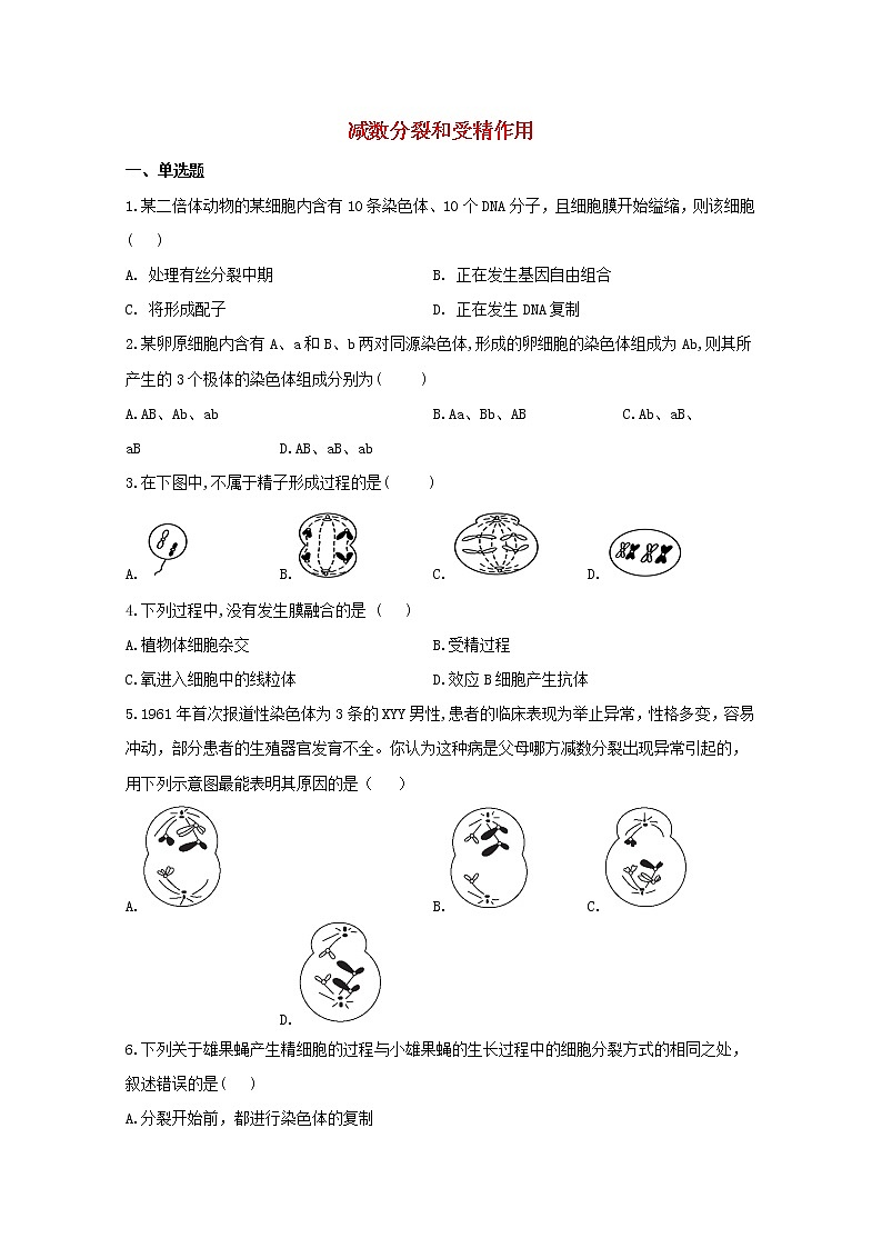 高中生物暑假作业03减数分裂和受精作用基础训练含解析第1页