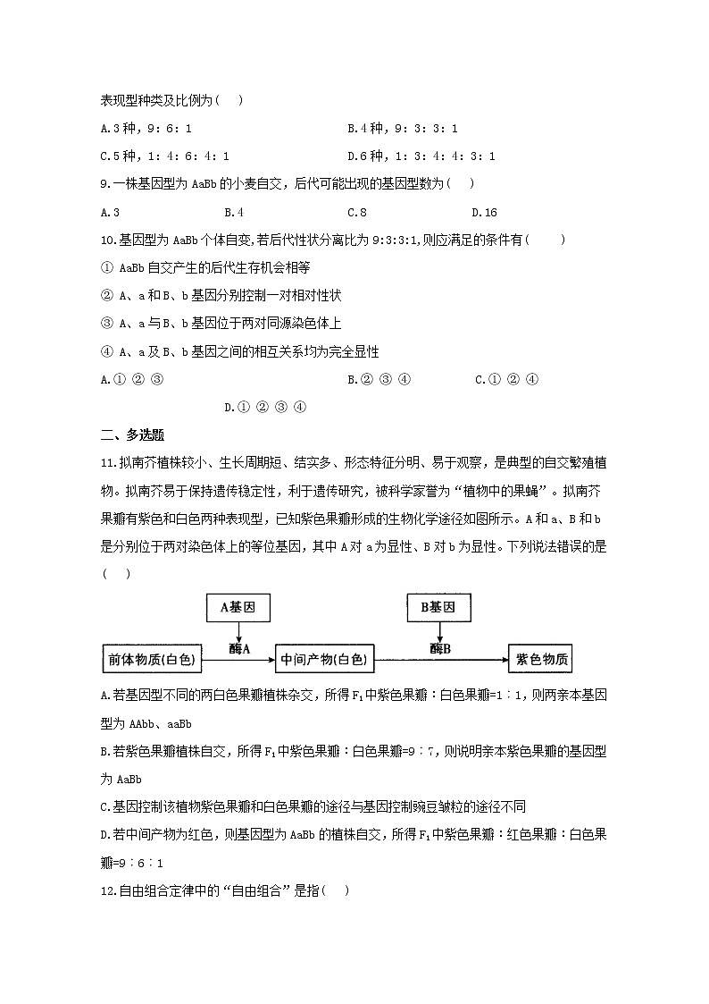高中生物暑假作业02孟德尔的豌豆杂交实验二基础训练含解析第2页