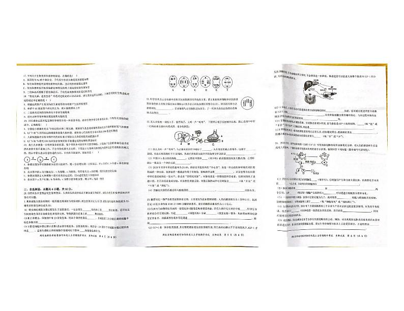 湖北省新高考联考协作体2021-2022学年高二上学期期中考试生物【试卷+答案】02