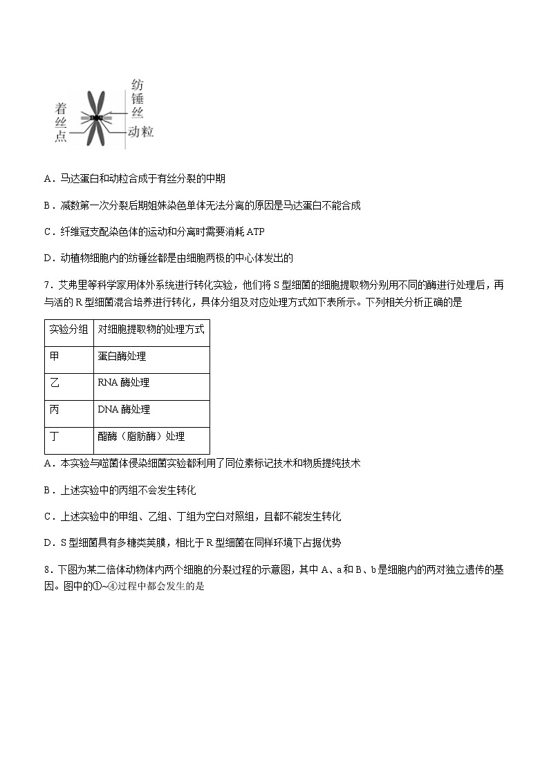湖北省十堰市2021-2022学年高三上学期元月调研考试生物试题第3页