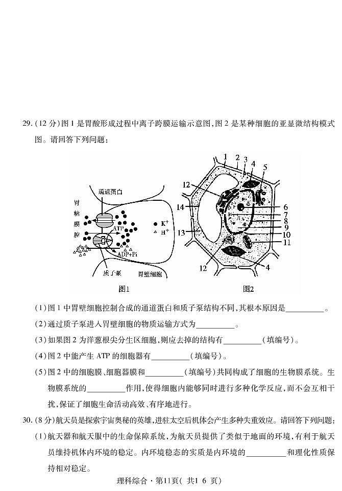 青海省西宁市2021届高三下学期复习检测一（一模）理科综合生物试题含答案03