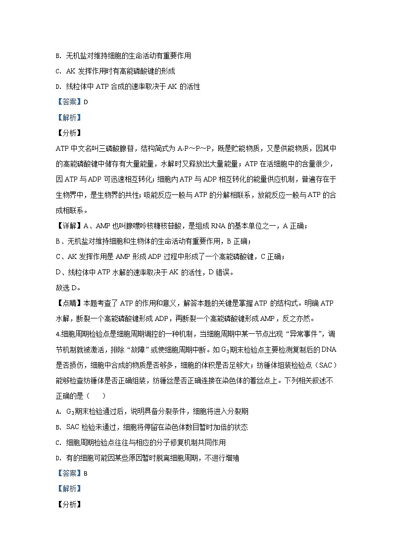 山东省青岛市2020届高三统一质量检测（一模）生物试题 Word版含解析第3页
