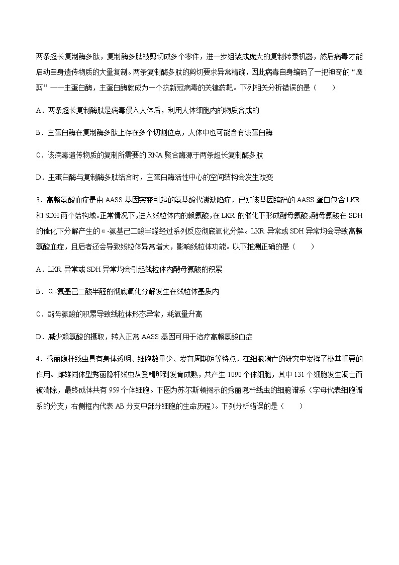 山东省青岛市2021届高三下学期3月统一质量检测生物试题 Word版含答案02