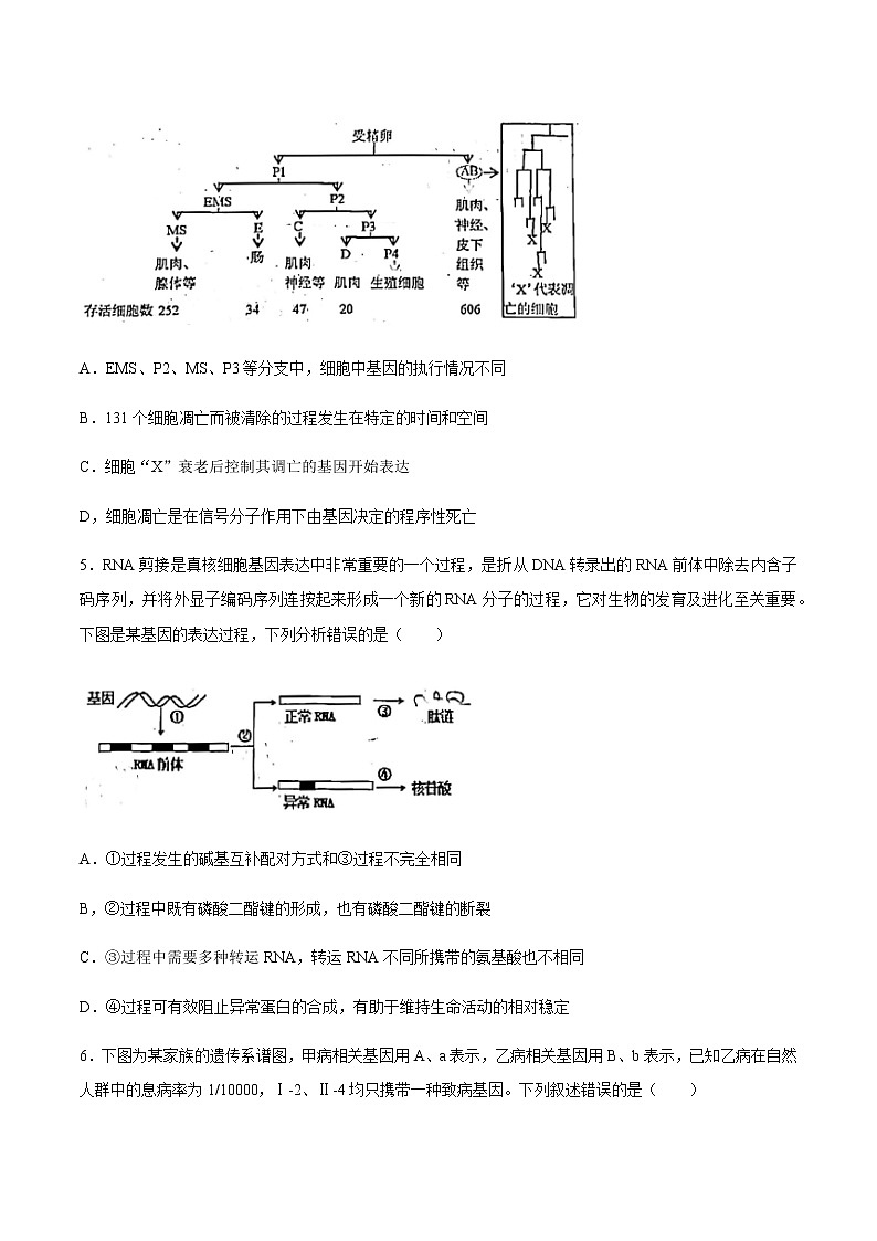 山东省青岛市2021届高三下学期3月统一质量检测生物试题 Word版含答案03