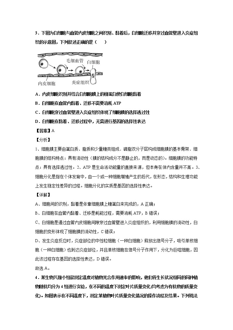 2021-2022学年河南省南阳市一中高三上学期第二次月考生物试题解析版03