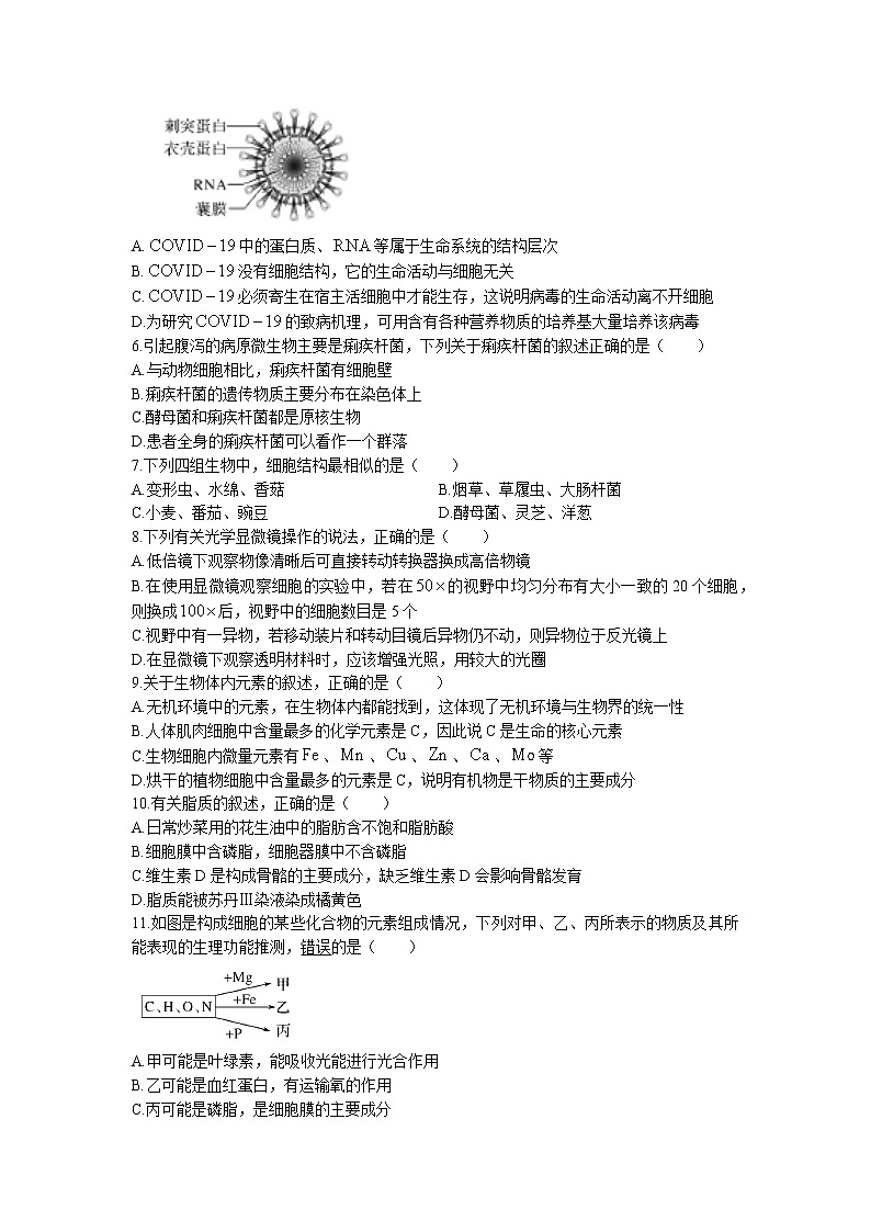 2021-2022学年广东省实验中学高一上学期期中考试生物试题含答案02
