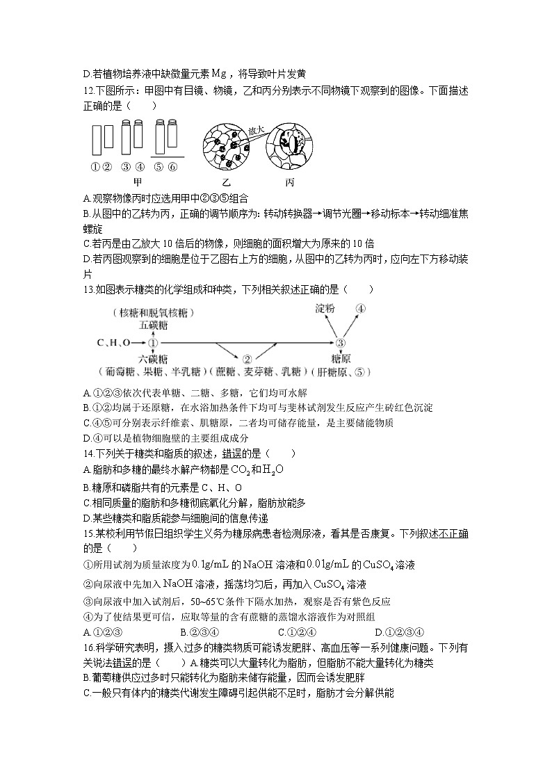 2021-2022学年广东省实验中学高一上学期期中考试生物试题含答案03