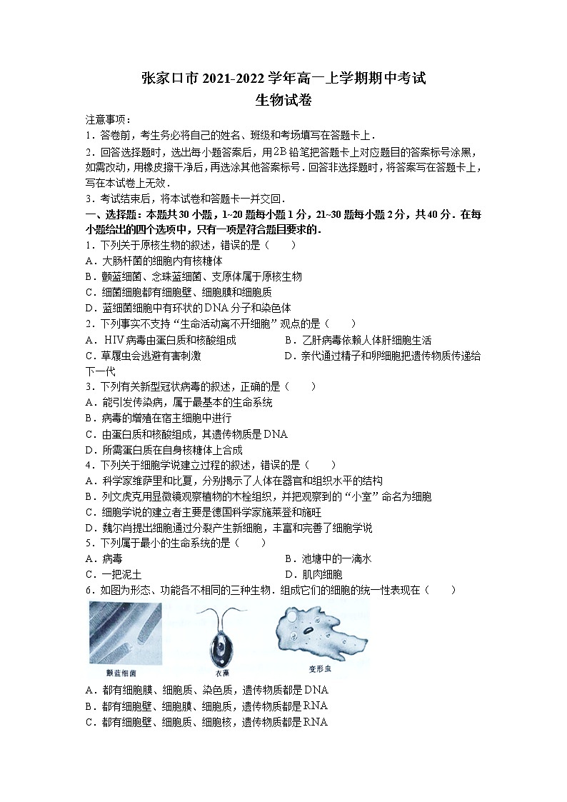 2021-2022学年河北省张家口市高一上学期期中考试生物试题含答案01