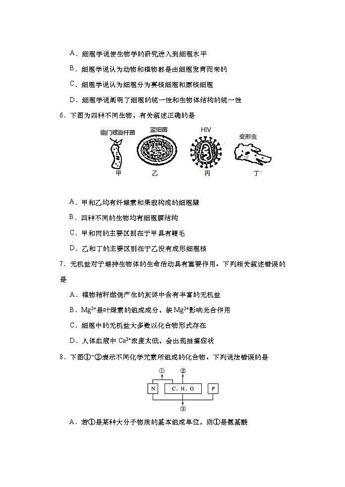 2021-2022学年山东省青岛市4区市高一上学期期中考试生物试题含答案03