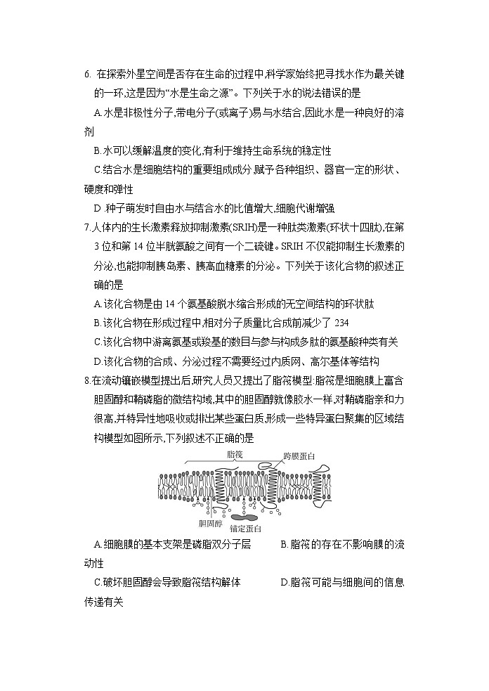 2021-2022学年山东省泰安肥城市高一上学期期中考试生物试题含答案03