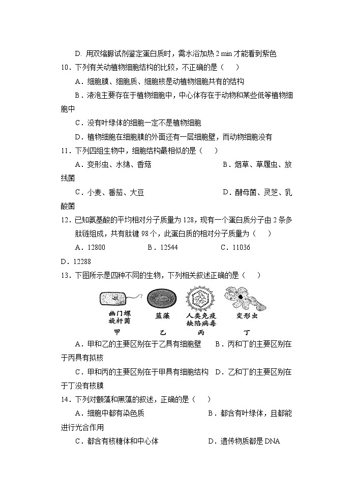 2021-2022学年陕西省宝鸡市金台区高一上学期期中考试生物试题含答案第3页