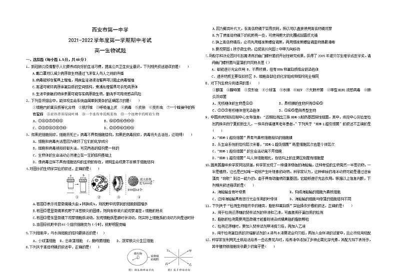 2021-2022学年陕西省西安市第一中学高一上学期期中考试生物试题含解析01