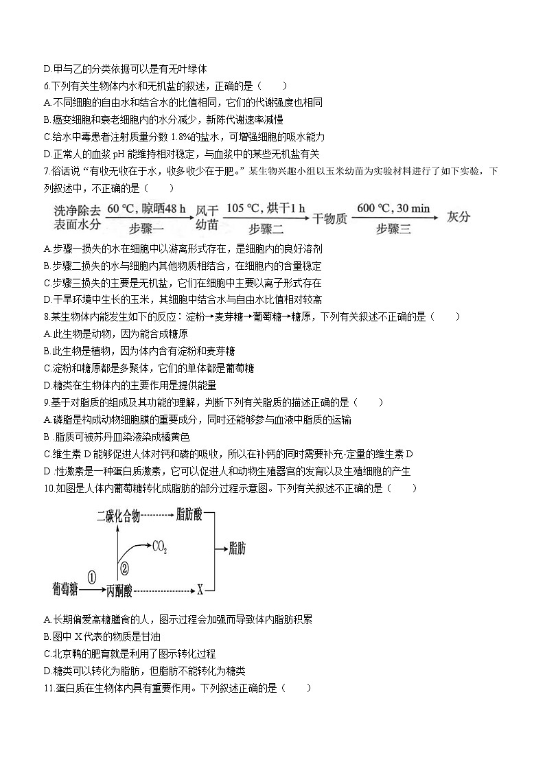 2021-2022学年天津市一中高一上学期期中生物试题含答案02