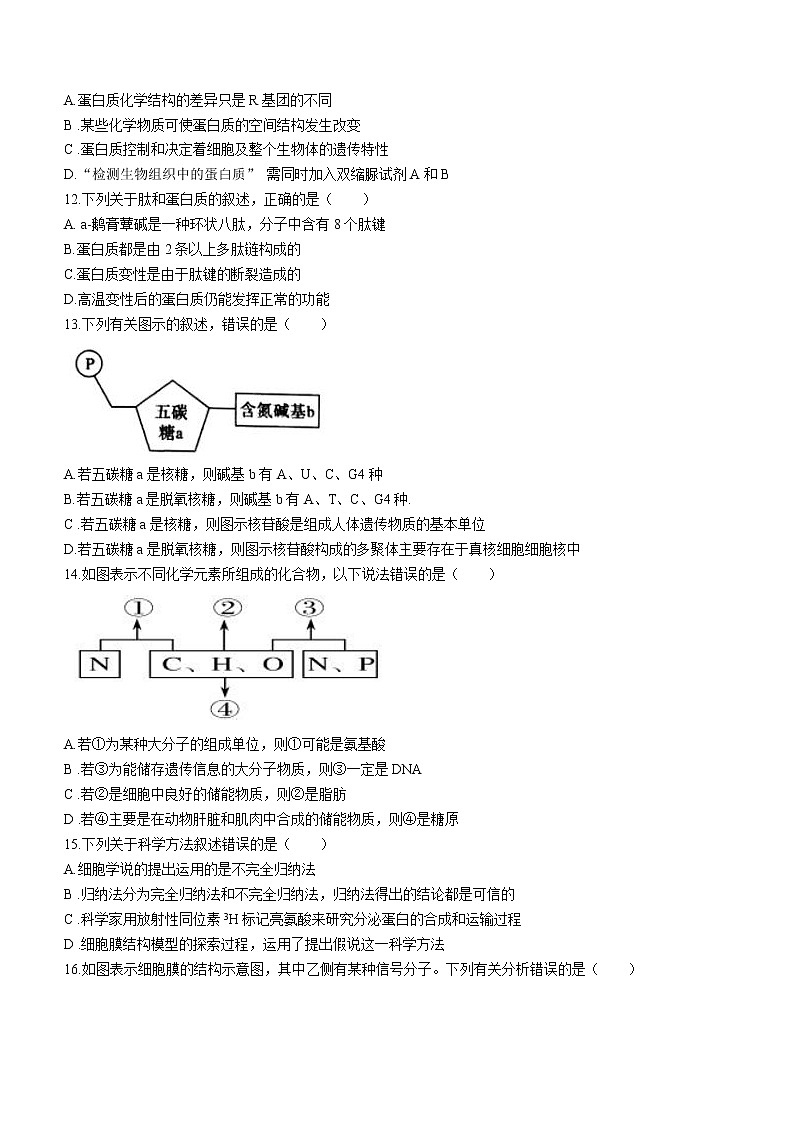 2021-2022学年天津市一中高一上学期期中生物试题含答案03