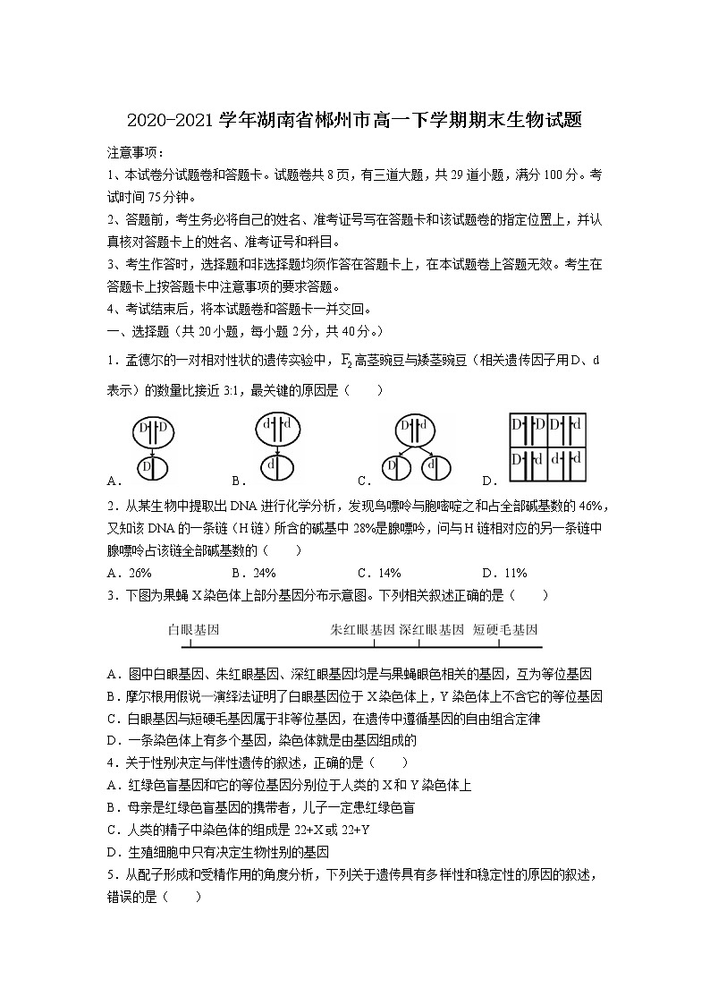 2020-2021学年湖南省郴州市高一下学期期末生物试题含答案01