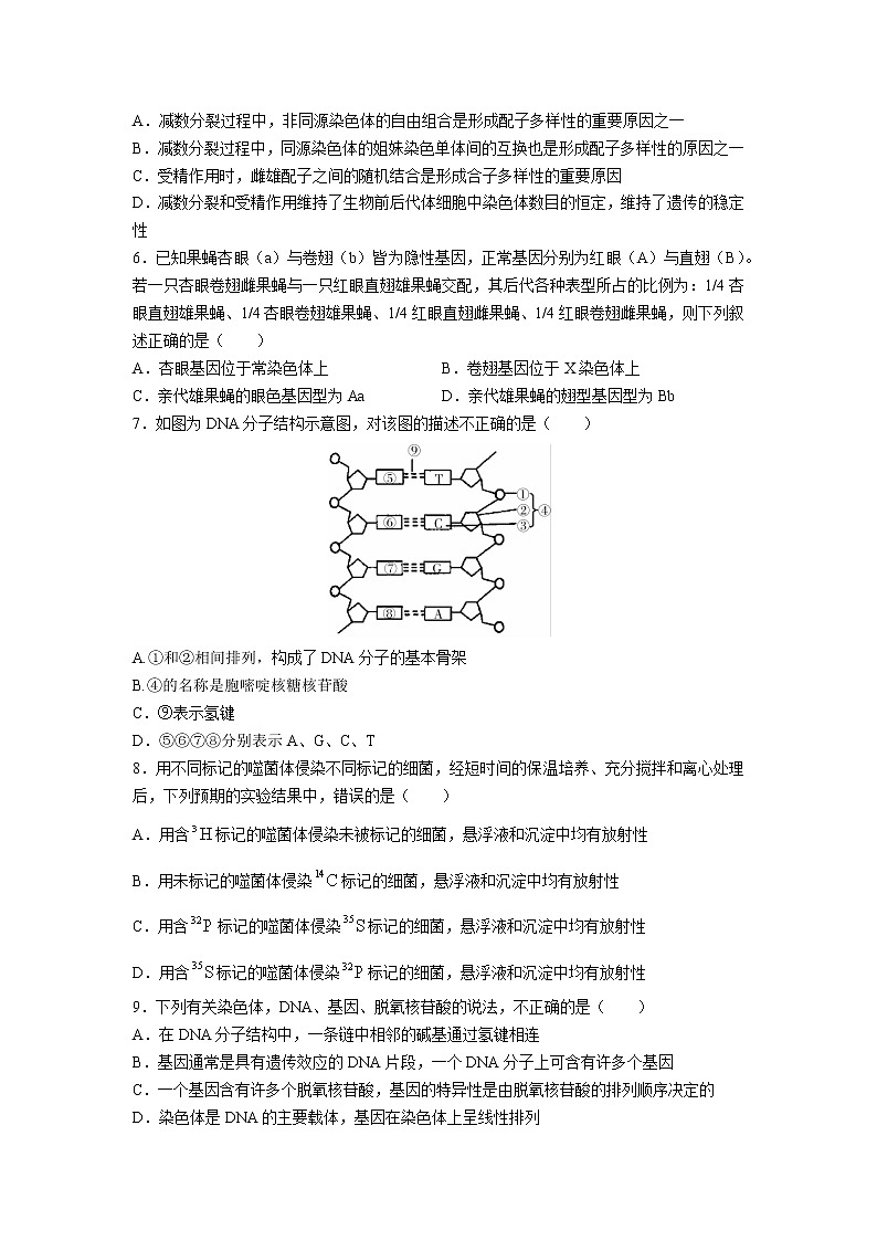 2020-2021学年湖南省郴州市高一下学期期末生物试题含答案02