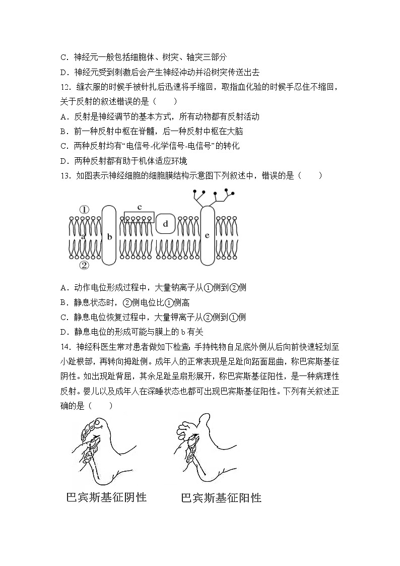 2021-2022学年福建省三明市四地四校高二上学期期中联考协作卷生物试题含答案03