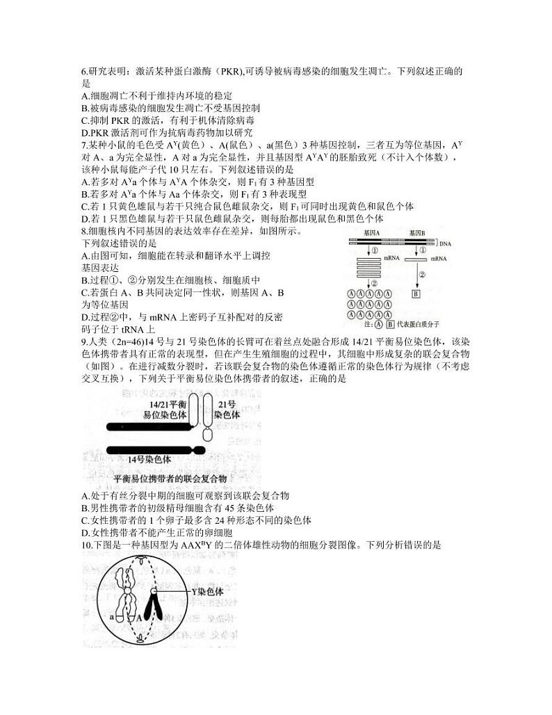 河北省石家庄市2021-2022学年高三上学期毕业班教学质量检测（一）生物试题（含答案）02