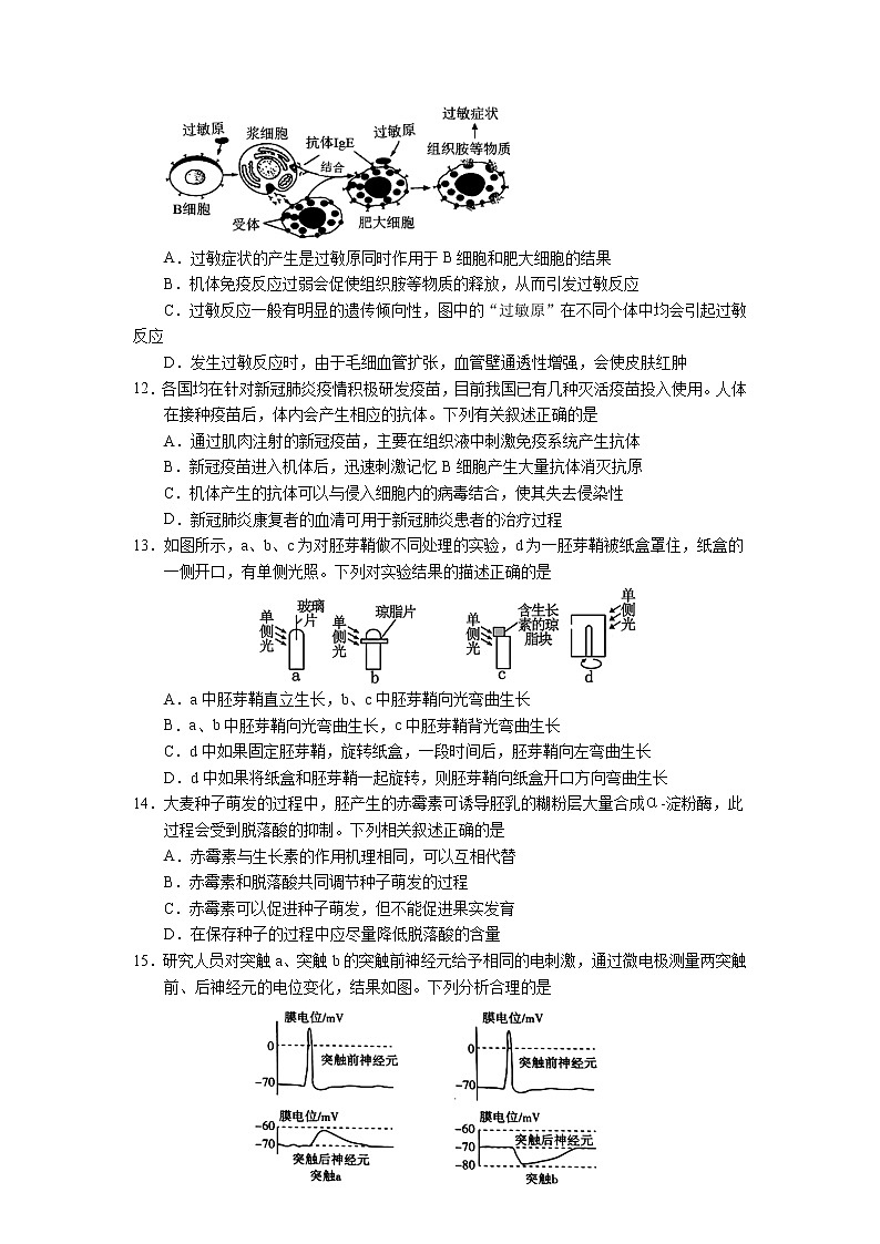 2021-2022学年广东省广雅中学高二上学期期中考试生物试题含答案第3页