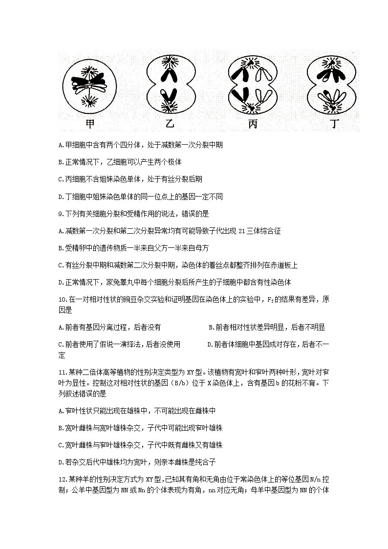 2021-2022学年河南省洛阳市高二上学期期中考试生物试题含答案第3页