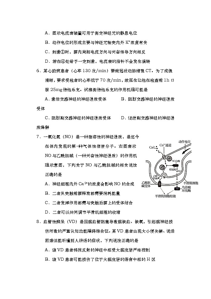 2021-2022学年山东省青岛市4区市高二上学期期中考试生物试题含答案第3页
