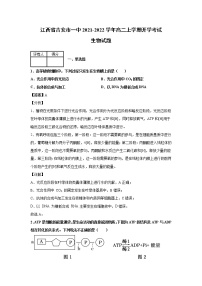 2021-2022学年江西省吉安市一中高二上学期开学考试生物试题解析版