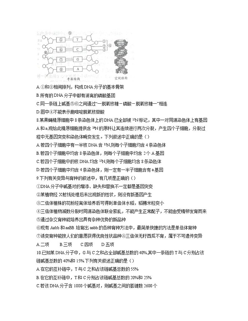 2021-2022学年安徽省六安市第一中学高三上学期第四次月考生物试题含答案第3页