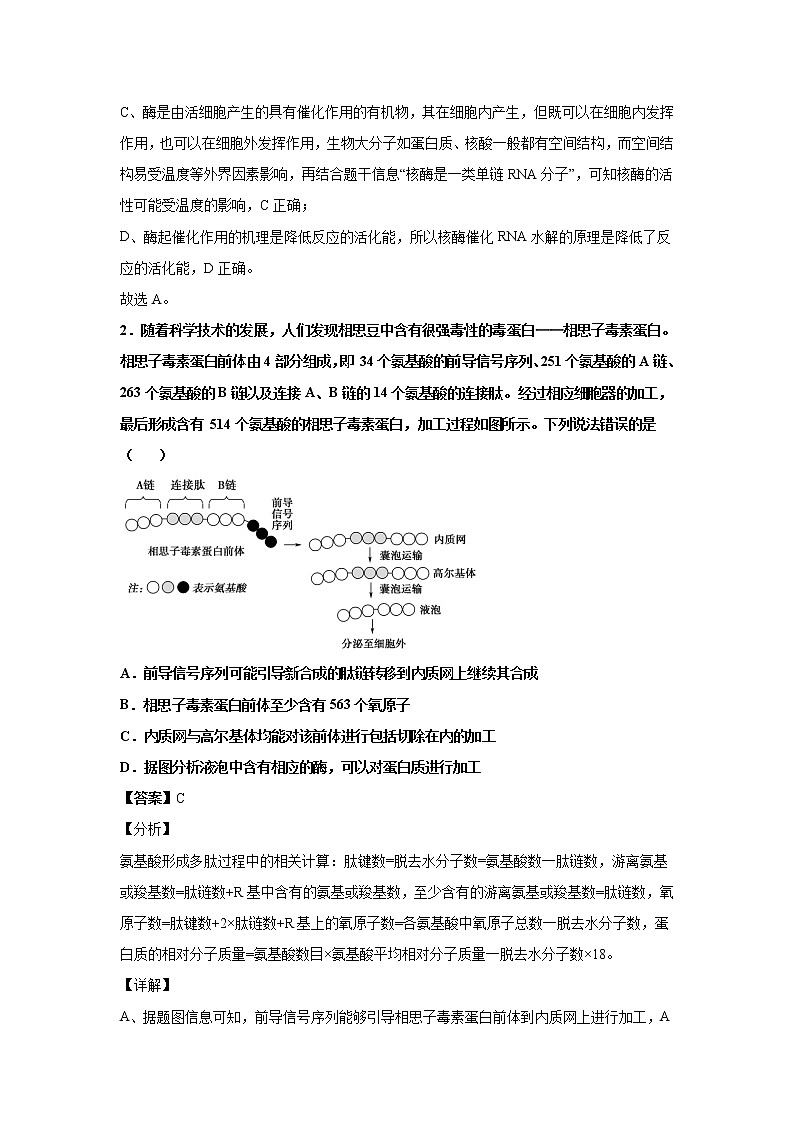 2021-2022学年山东省济南市山东师大附中高三上学期第二次月考生物试题解析版第2页