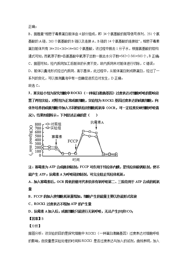 2021-2022学年山东省济南市山东师大附中高三上学期第二次月考生物试题解析版第3页