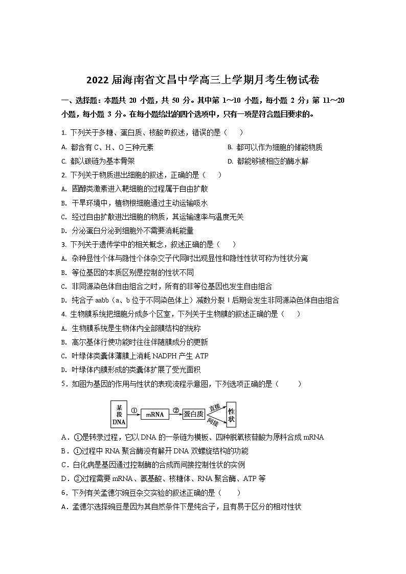 2022届海南省文昌中学高三上学期月考生物试卷含答案第1页