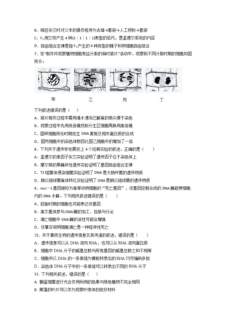 2022届海南省文昌中学高三上学期月考生物试卷含答案第2页