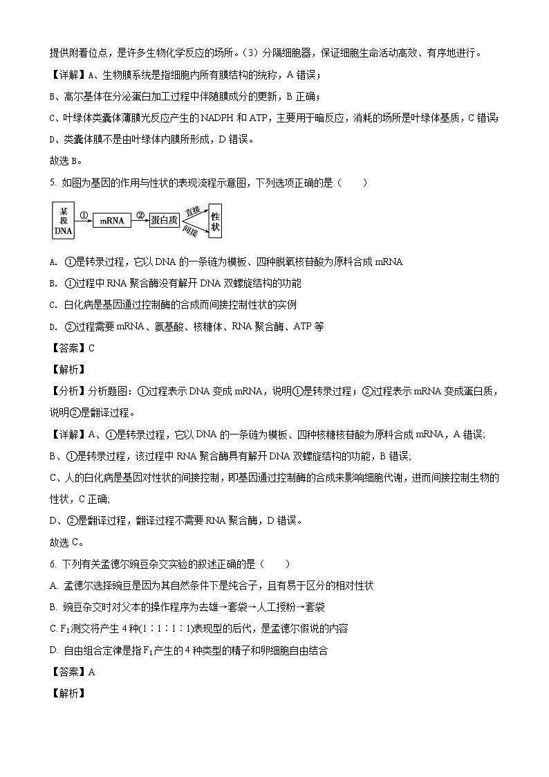 2022届海南省文昌中学高三上学期月考生物试题含解析第3页