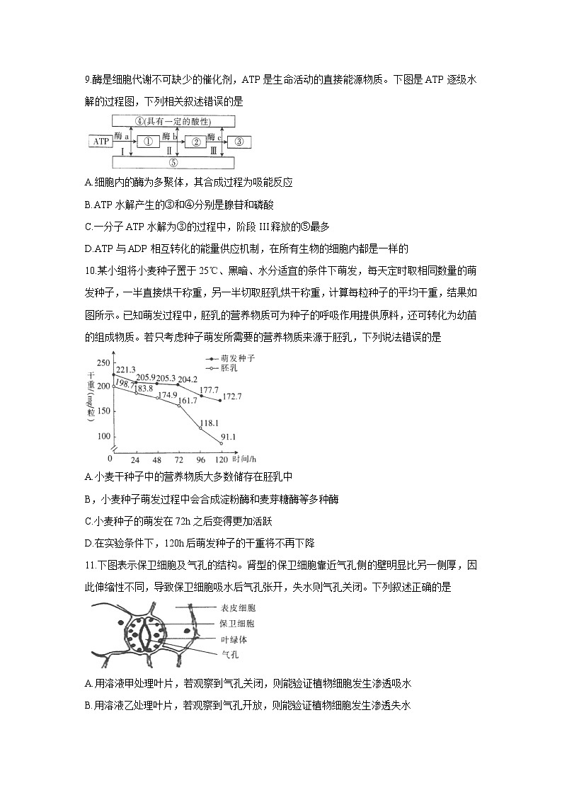 2022届河南省驻马店市高三上学期11月阶段性检测生物试题含答案第3页