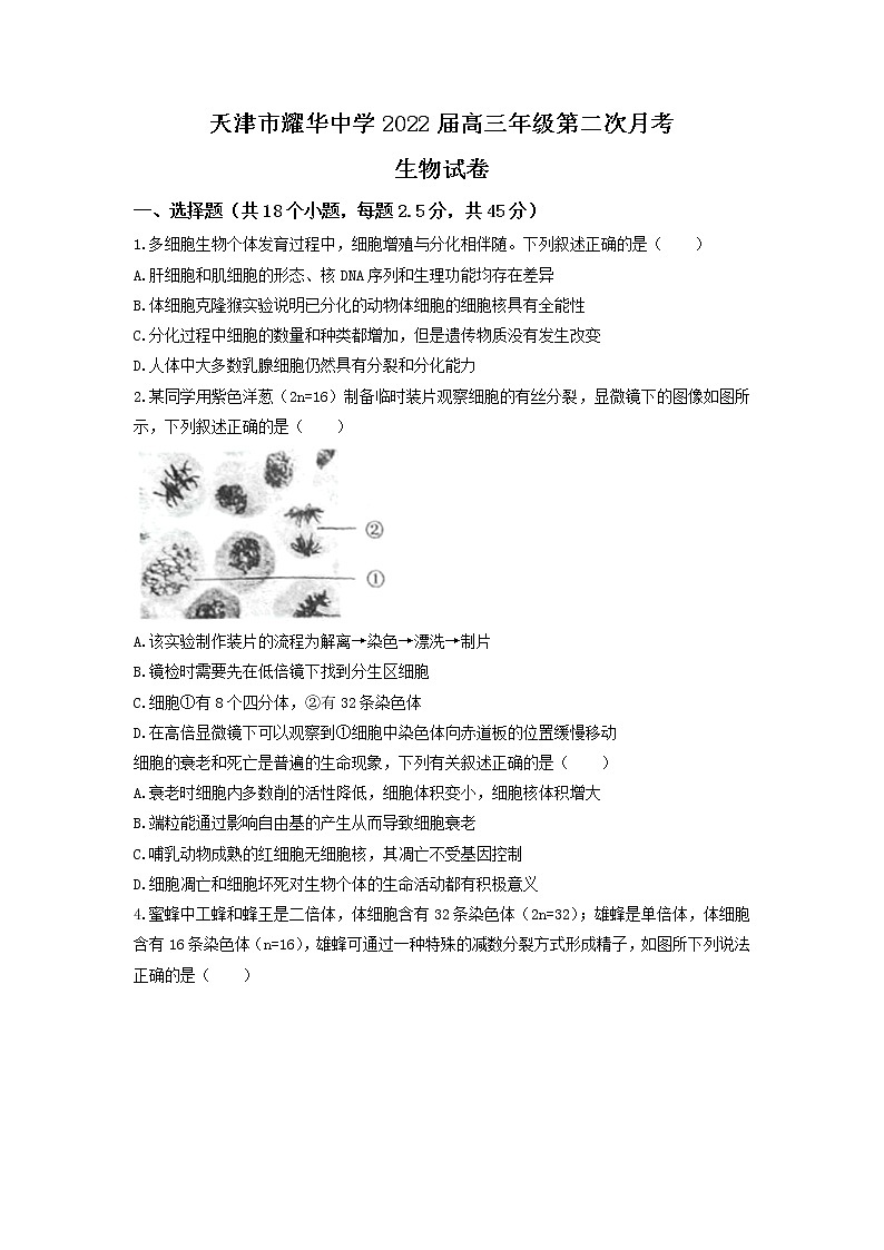 2022届天津市耀华中学高三上学期第二次月考生物试题含答案第1页