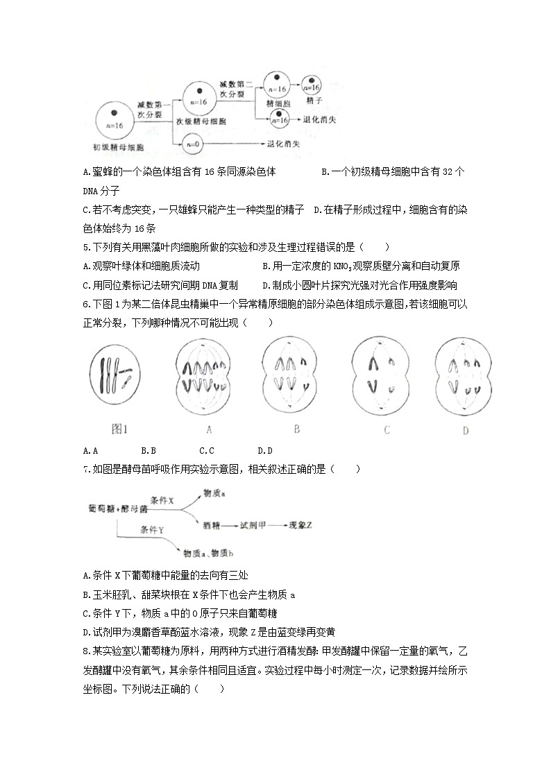 2022届天津市耀华中学高三上学期第二次月考生物试题含答案第2页