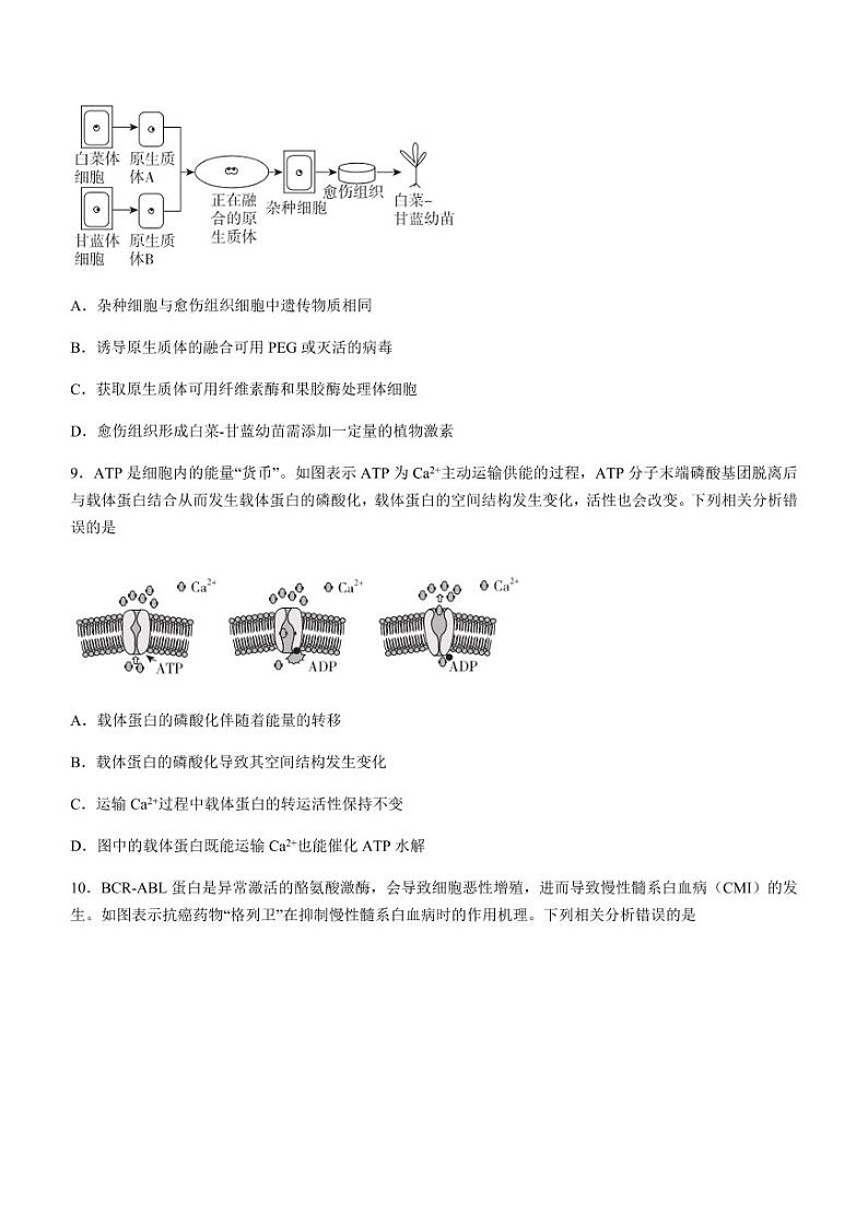福建省漳州市22届高三毕业班第一次教学质量检测生物试题含答案第3页