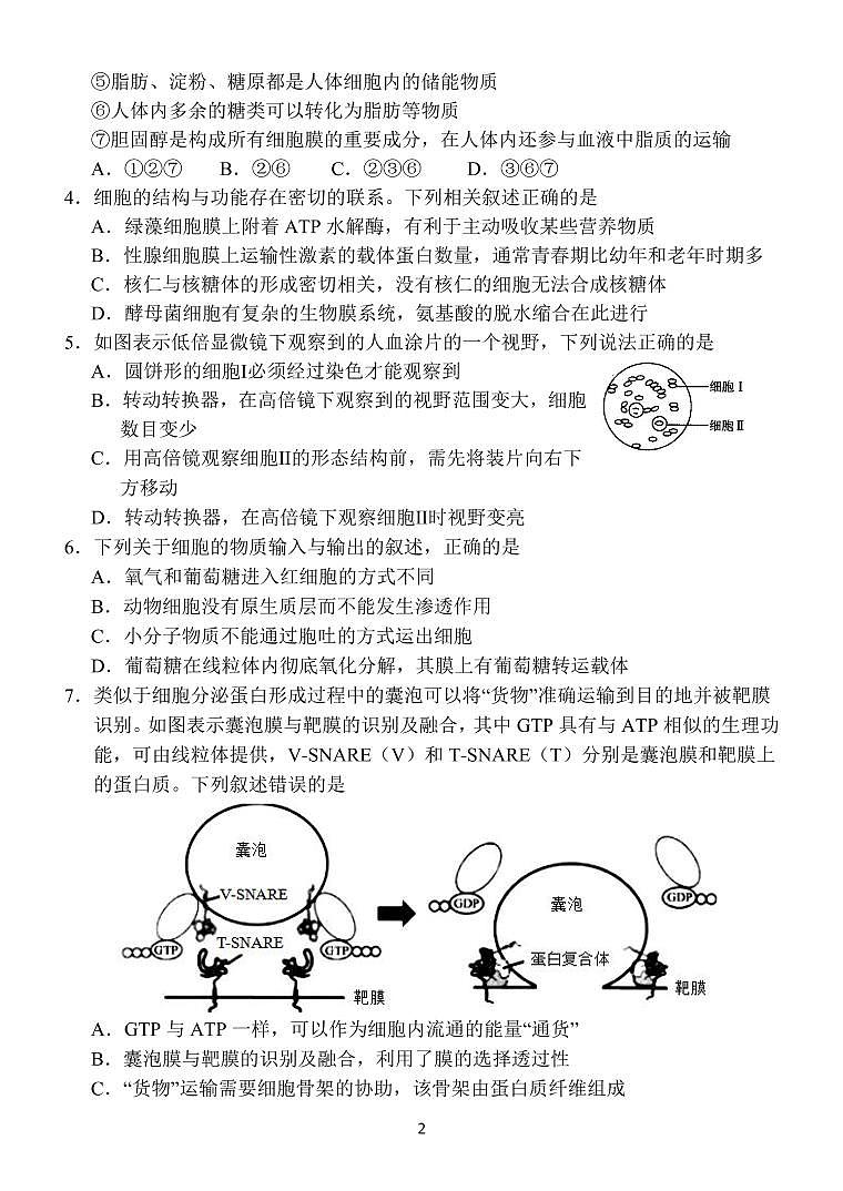 河南省名校联盟2021-2022学年高三上学期第三次诊断考试生物PDF版含答案（可编辑）第2页