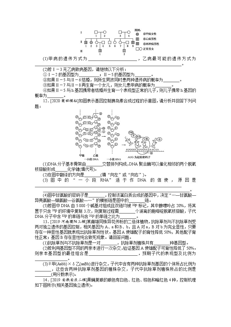 【生物】高考题型考法突破专项训练 题型三　计算类试题——运用数学思维解答（含答案解析）第3页
